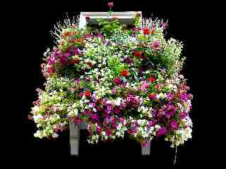 venezia-balcone-fiori